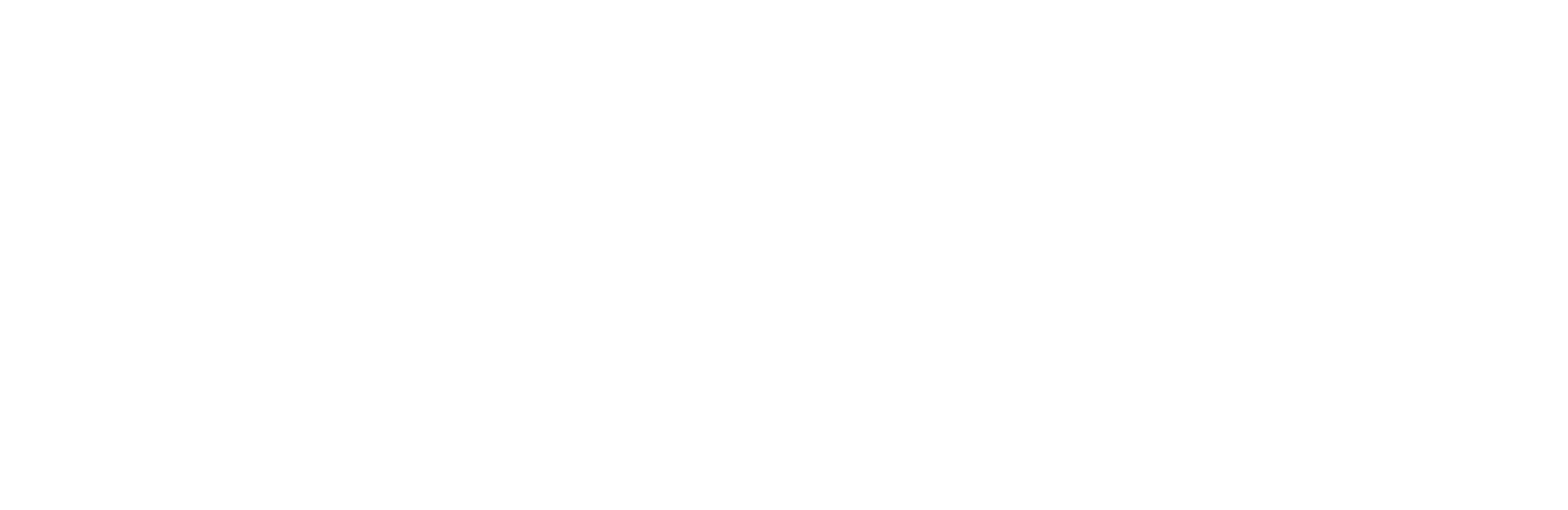 Successful Innovations - Logo - White - Horizontal