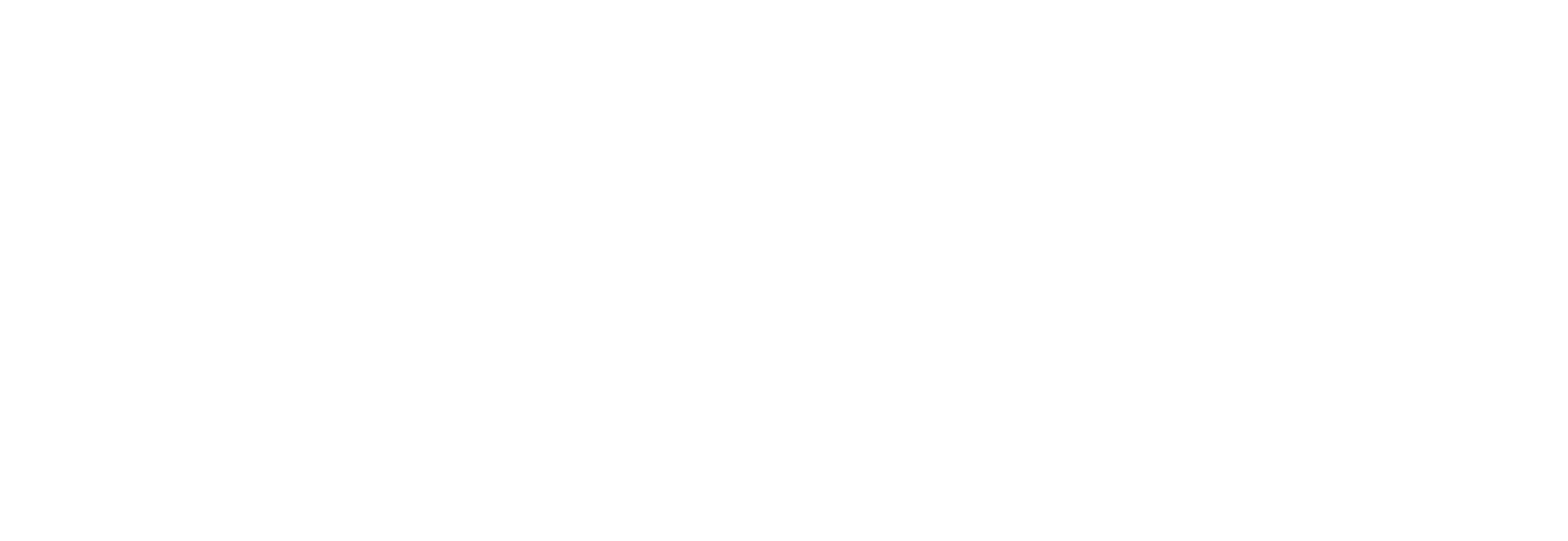 IFEF Logo - White